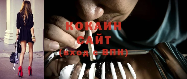 тгк Алзамай