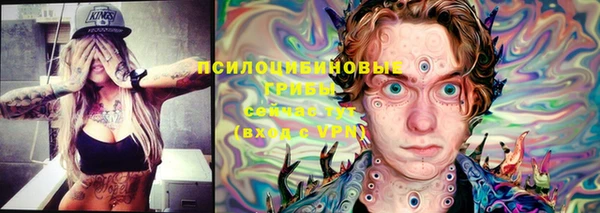 молекула духа Алексин